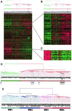 Gene expression profiling oligoneucleotide microarrays assessing 6800