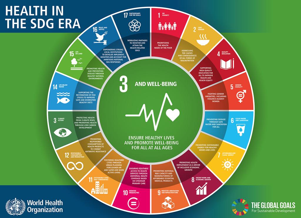 The 17 Sustainable Development Goals 169 targets 1. Poverty 2. Food security and nutrition 3. Health 4. Education 5. Gender equality 6. Water and sanitation 7. Energy 8.
