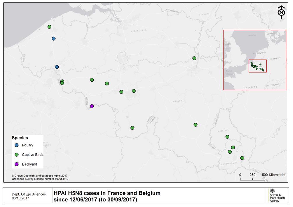 Additional epidemiological analyses: H5N8 Epidemic situation update (data to