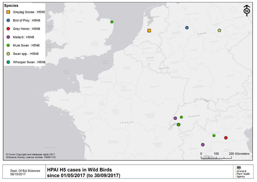 Additional epidemiological analyses: H5N8 Epidemic situation update