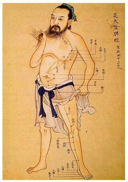 ACUPUNCTURE 针灸学 Acupuncture is based on the premise that energy flows (Qi) through certain pathways called meridians in the human body that are essential for health.