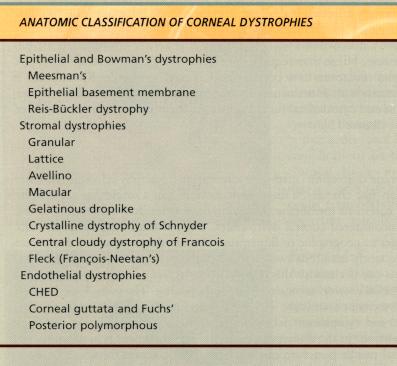 diseases, some may actually be degenerative Classified by anatomic layer (primarily one), morphological characteristics, person s name, and specific histopathologic and histochemical characteristics