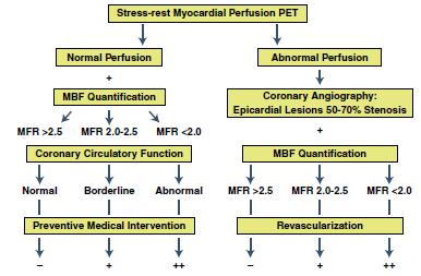 Algorithm for the Integration of PET Perfusion and