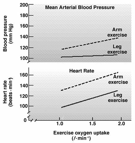 Heart Rate and Blood Pressure