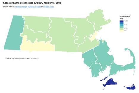 Prevalence of Lyme Disease Massachusetts: the