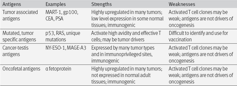 Cancer vaccination needs immunization with tumor antigens: non-mutated (TAA, cancer-testis,
