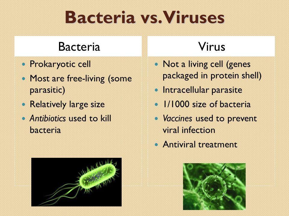 The Bad Guys Viruses: Nonliving particle. Has genetic material and it literally hacks (hijacks) your cells and makes them reproduce. They cannot be killed by antibiotics.