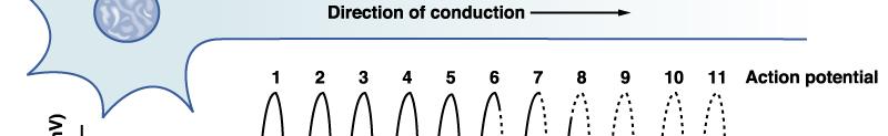 Continuous Conduction Occurs in unmyelinated axons.