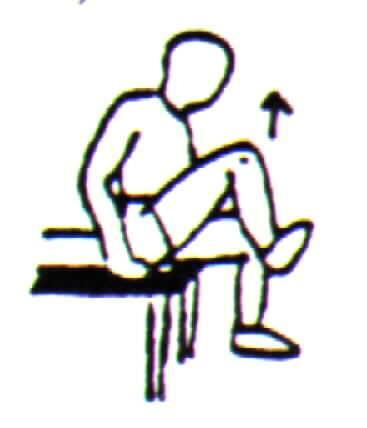 Rectus femoris: pass over the hip and knee (act: hip flexion and knee extension ).