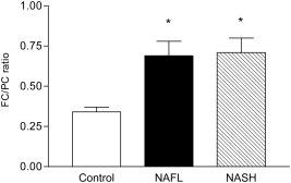 A Lipidomic Analysis of Nonalcoholic Fatty Liver Disease Hepatic Lipidome in NASH