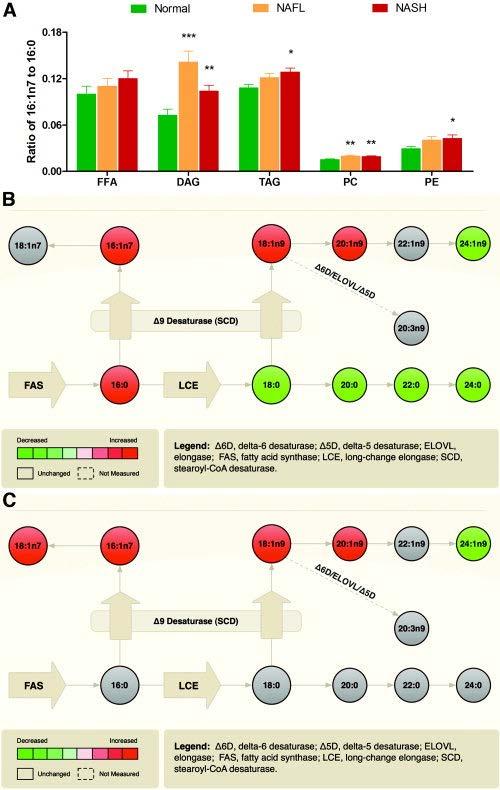 NAFLD is associated with increased de novo lipogenesis A composite fatty acid methyl ester data from all lipid classes