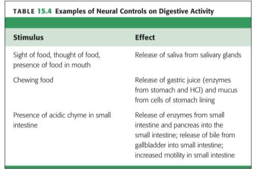 Control of Digestive Secretions The presence of acidic chyme entering the small intestine triggers nerves that stimulate: 1. Pancreas to release digestive enzymes. 2.