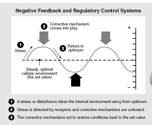 Homeostasis is characterized by Negative Feedback...response is negative to the initiating stimulus.