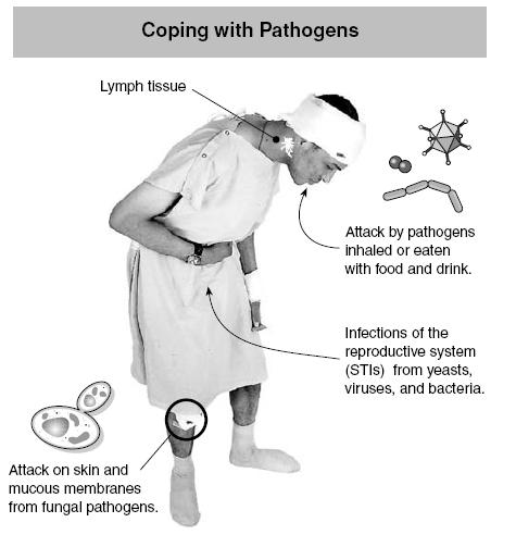 All of us are under constant attack from pathogens (disease causing organisms).