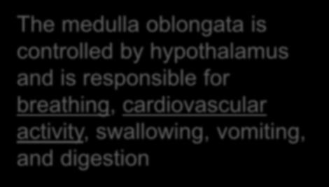 oblongata The medulla oblongata is controlled by hypothalamus and is
