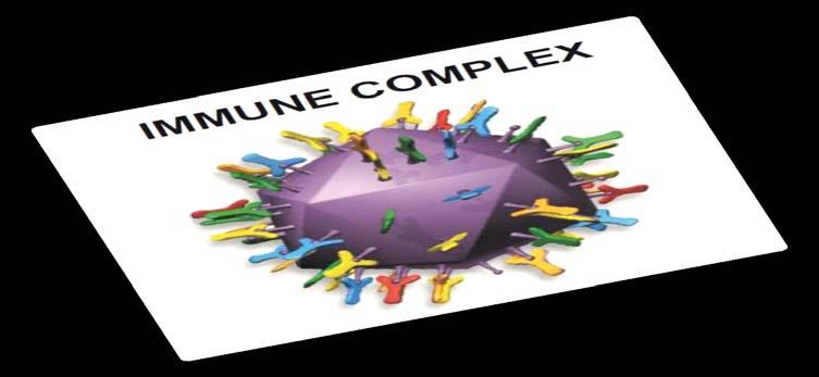 INMUNE COMPLEX VACCINE Following administration, the protection starts immediately after vaccine virus replication, which occurs after MDA have reached
