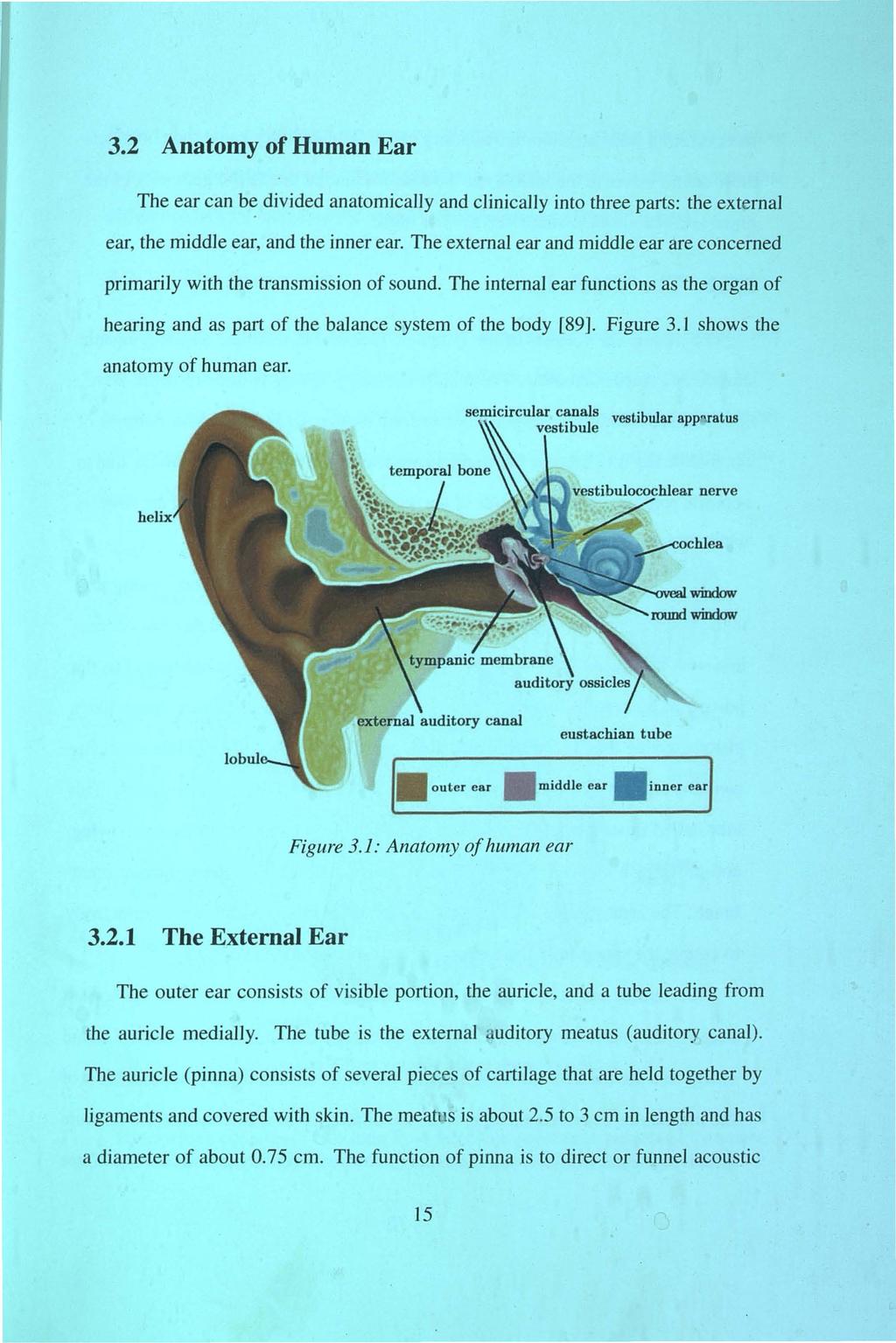 3.2 Anatomy of Human Ear The ear can be divided anatomically and clinically into three parts: the external ear, the middle ear, and the inner ear.
