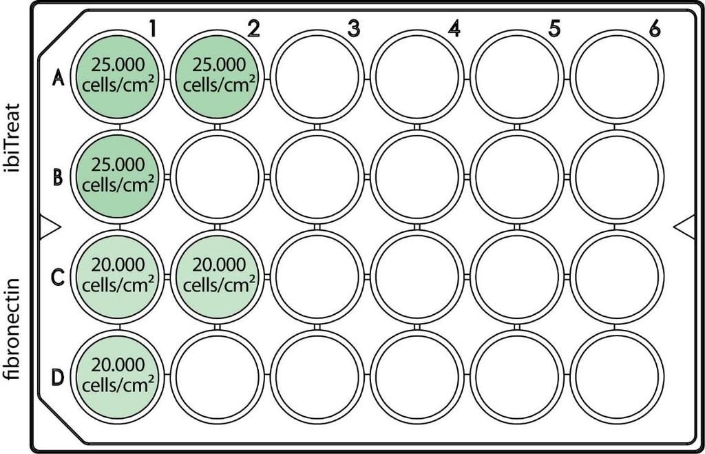 Figure 4: Cell concentrations for the optimization of the fusion process on different surfaces.