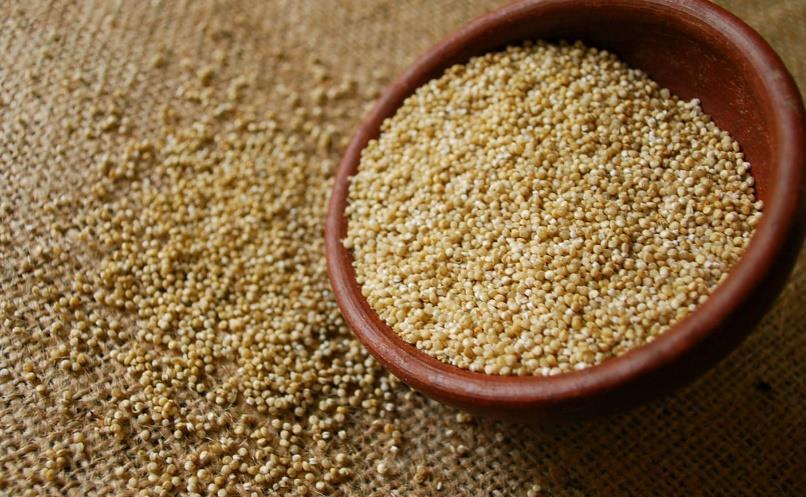 g., soy, quinoa, garbanzo beans (chick peas) quinoa 9 essential AAs for humans: isoleucine