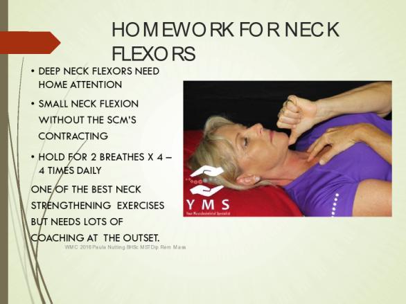 HOMEWORK FOR NECK FLEXORS DEEP NECK FLEXORS NEED HOME ATTENTION SMALL NECK FLEXION WITHOUT THE SCM S CONTRACTING HOLD FOR 2 BREATHS X 4 4 TIMES DAILY *ONE OF THE BEST