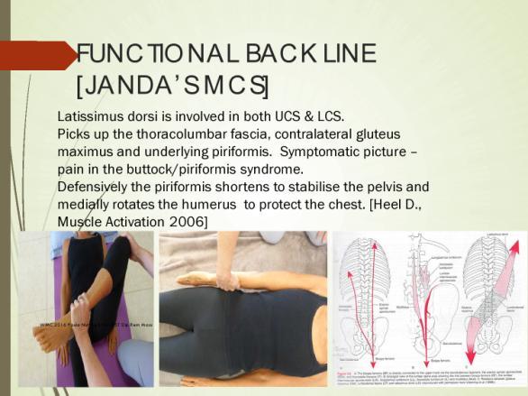PARAVERTEBRALS = TIGHTENED GLUTEAL MUSCLES ACTIVITY walking