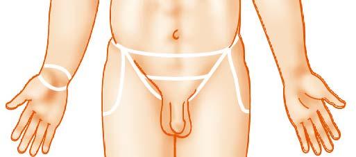 (genital region) Patellar (anterior knee) Crural (leg) Buccal (cheek) Mental (chin) Sternal (breastbone) Thoracic (chest) Mammary (breast) Umbilical (navel)