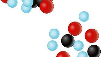 Molecules Atoms 3 Tissue level Tissues consist of similar