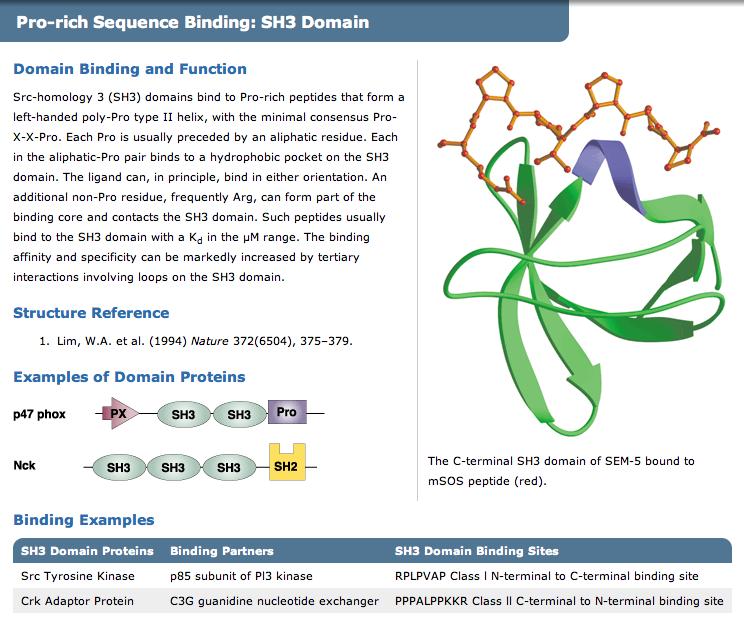 Protein interaction domains See: http://www.cellsignal.