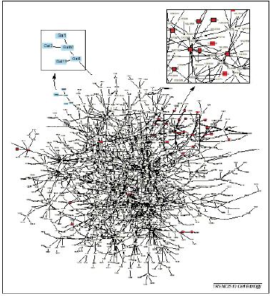 Interactome Complexity is achieved beyond the DNA level, through complex
