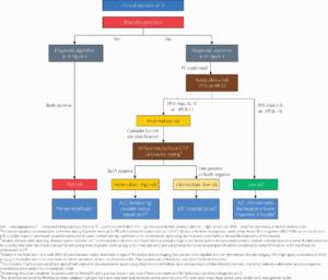 Figure 66.6 Suggested management algorithm for patients with suspected and confirmed PE.