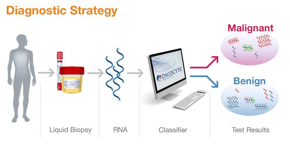 Leveraging a common liquid biopsy strategy for