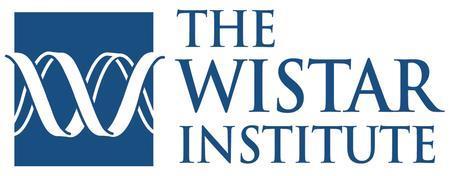 Lung Cancer Product The Wistar Institute in the lab of Dr. Louise C.