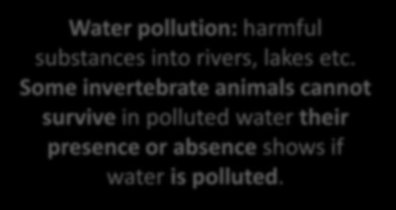 Water pollution: harmful substances into rivers, lakes etc.