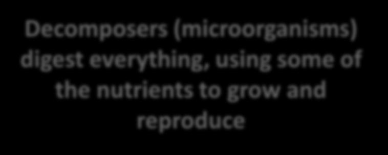 (microorganisms) digest everything, using some of the nutrients to grow and reproduce They produce