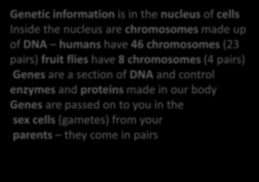 B1.7.1 Why organisms are different Genetic