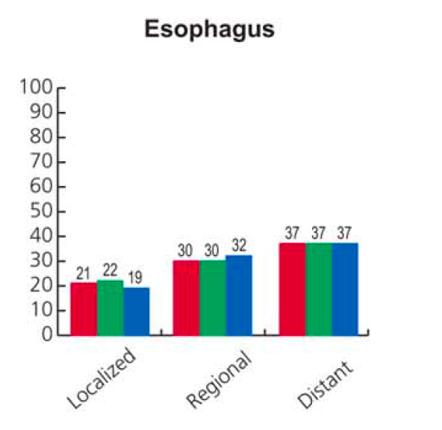 Stage distribution of esophageal cancer from 2004-2010 In USA by race.