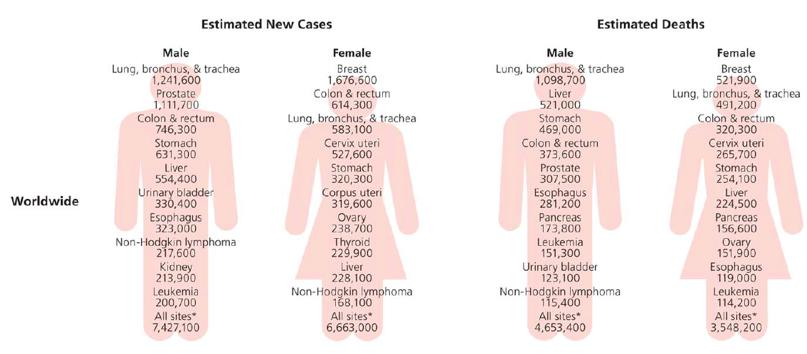 Estimated new cancer cases and deaths worldwide Torre LA et al.