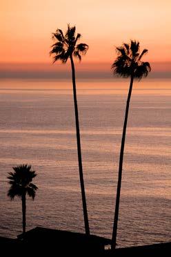 Laguna Beach is one hour from Los Angeles, San Diego, and Riverside. It is 30 minutes from Disneyland.