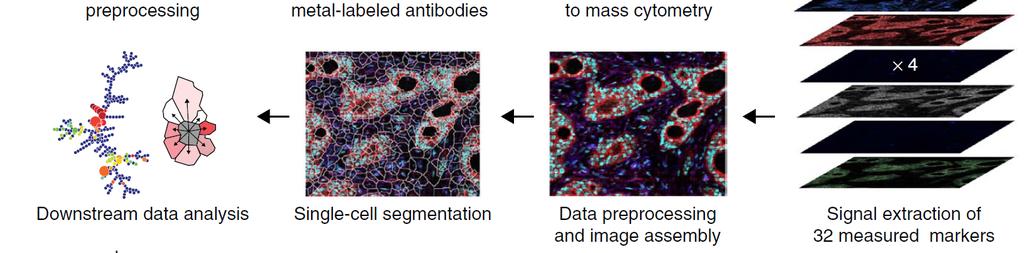 conventional IHC with Mass Spec (CyTOF) and high resolution laser