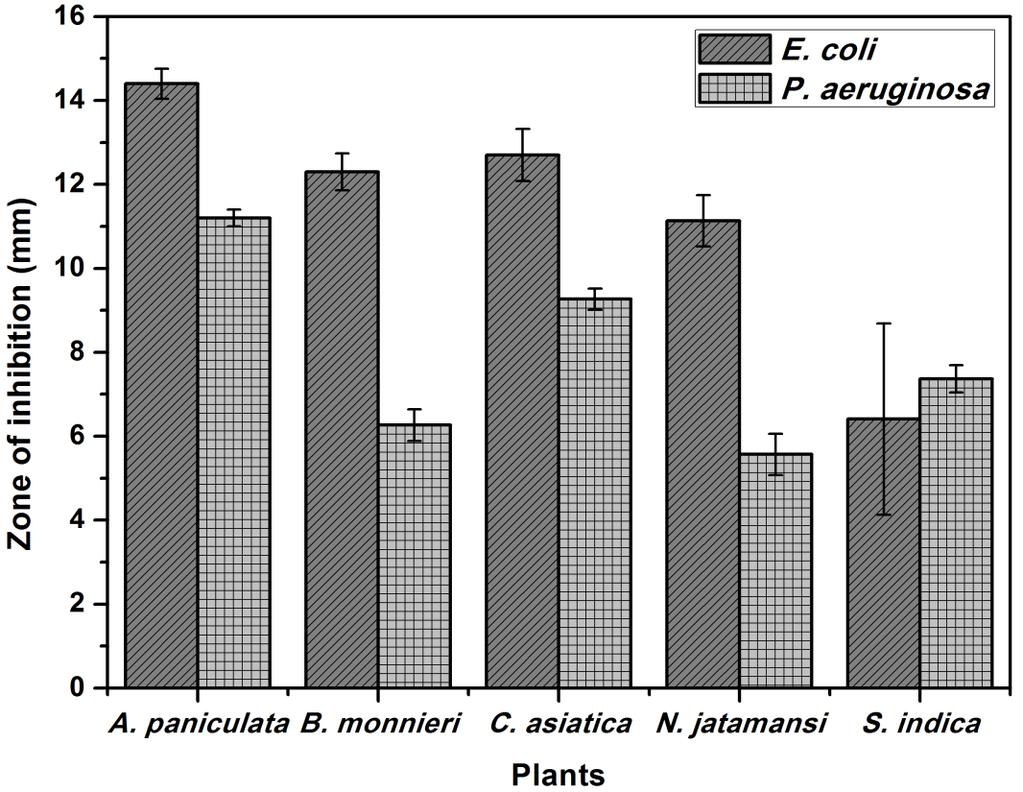 maximum activity was shown by A. paniculata of 11mm and minimum activity was exhibited by N. jatamansi of 5mm, followed by 9mm, 7mm, 6mm, for C. asiatica, S. indica, B. monnieri respectively. Fig 2.