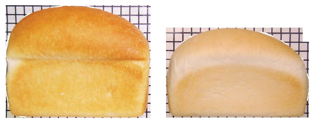 BAKESHURE SOURS BAKESHURE SOURS BakeShure Optimizes Loaf Volume 1 cm