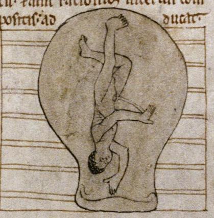 Bibliotheek van België) and is believed to date from the 9-11th centuries A.D. Figure 4.34: Matrix (uterus) image in MS 3701-15, 9-11th century.
