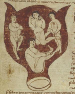 Each fetus had full growth of head hair and was portrayed as an adult. A. MS 3701-15. B. MS 3701-15. C. MS 3701-15. Figure 4.