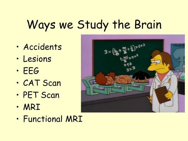 4.2 Explain the difference between the following methods for exploring brain function: Magnetic