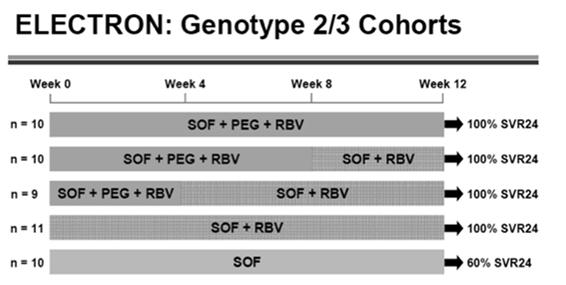 3/26/2013 Electron: Polymerase Inhibitor + RBV+/ IFN Genotypes 2 &3 100% SVR when given with IFN Electron:Polymerase Inhibitor + RBV Genotypes 2 &3 100% SVR when given with IFN 100% SVR when given
