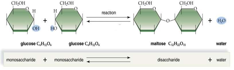Synthesis of a