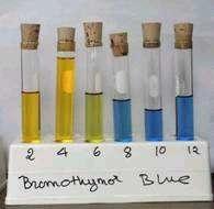 Bromothymol blue Acids appear