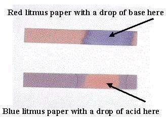 Red and Blue Litmus Basic solutions turn red