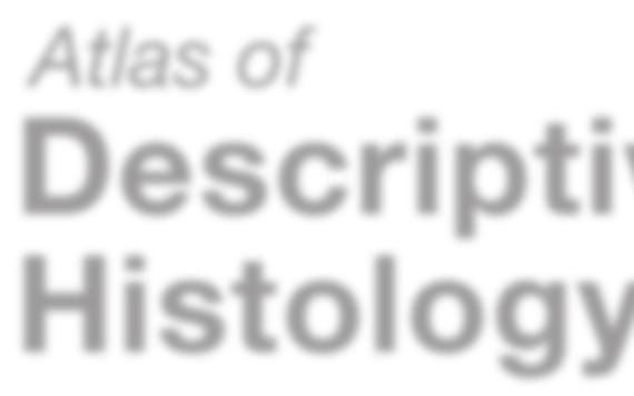 Atlas of Descriptive Histology Michael H.