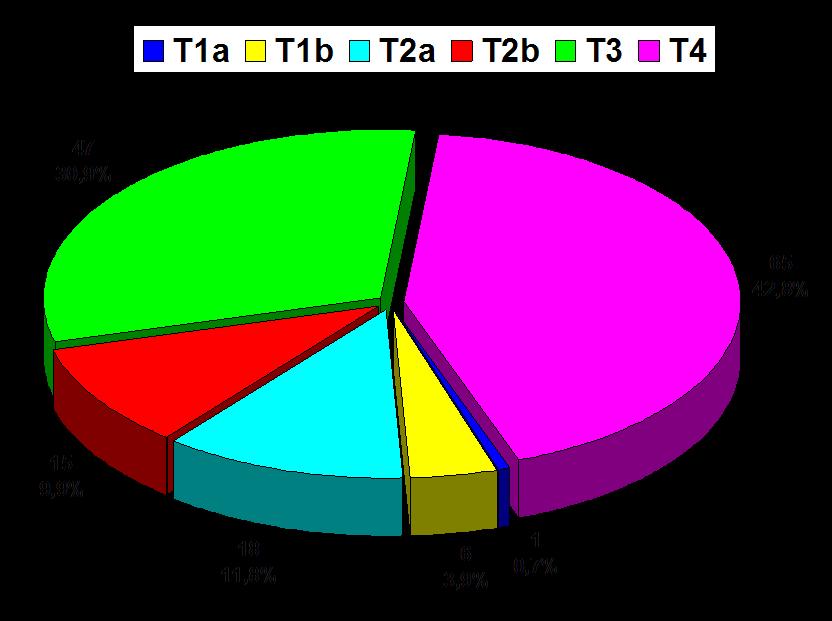 Najčešća vrednost T statusa tumora je bila T4 (42,8%), zatim T3 (30,9%) (grafikon 2).